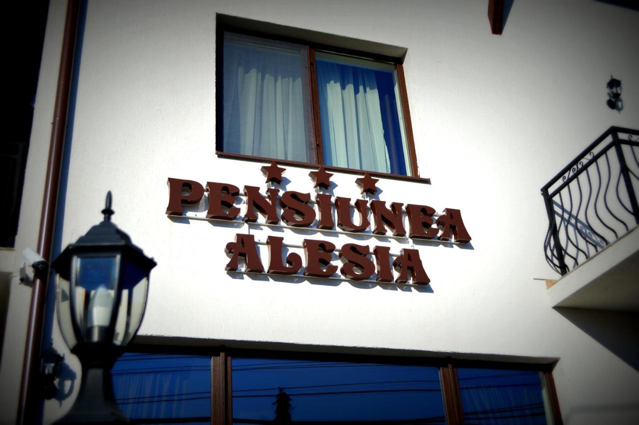 Pensiunea Alesia Pucioasa Екстер'єр фото